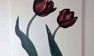 Peter Arnold Tulips Canvas