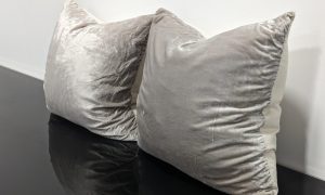Soft Velvet Cushions set of 2