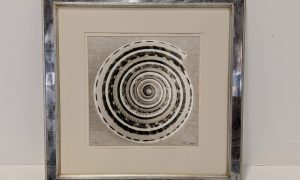 Ben Wood Shell