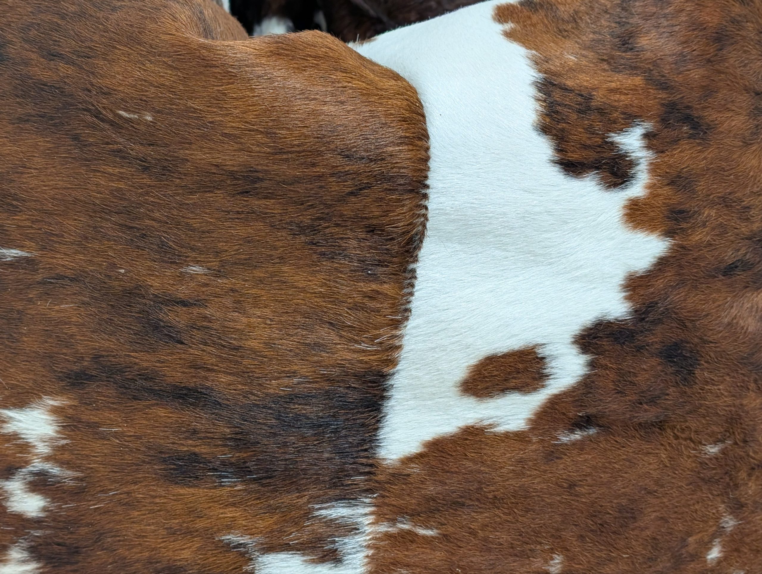 Peau De Vache Cow Hide Bean Bags - Image 7