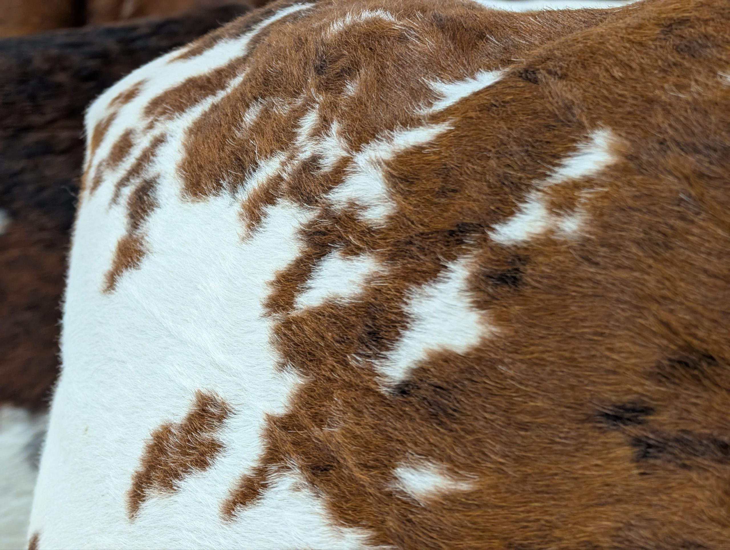 Peau De Vache Cow Hide Bean Bags - Image 2