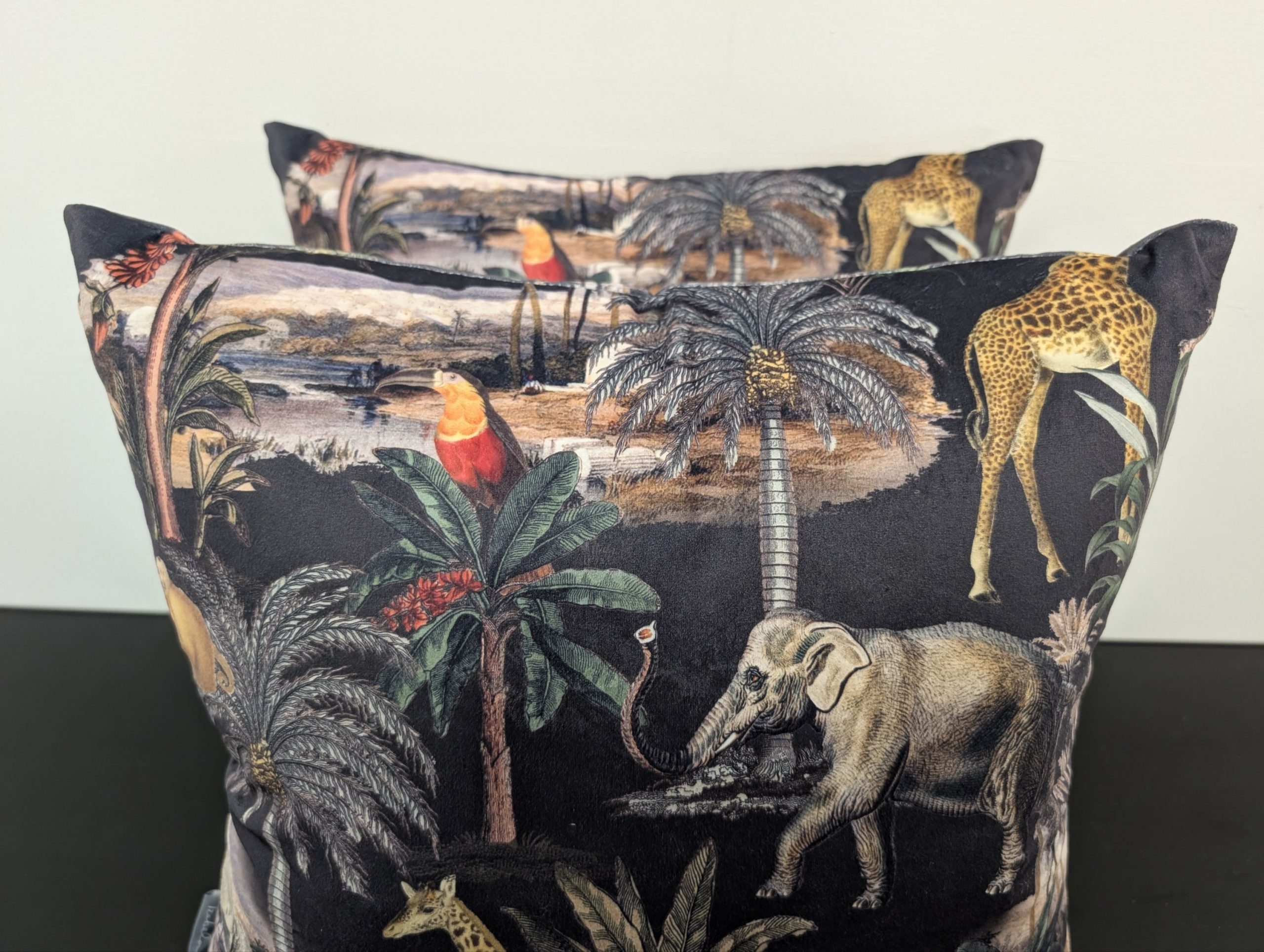 Isabella Peters Cushions pair - Image 8