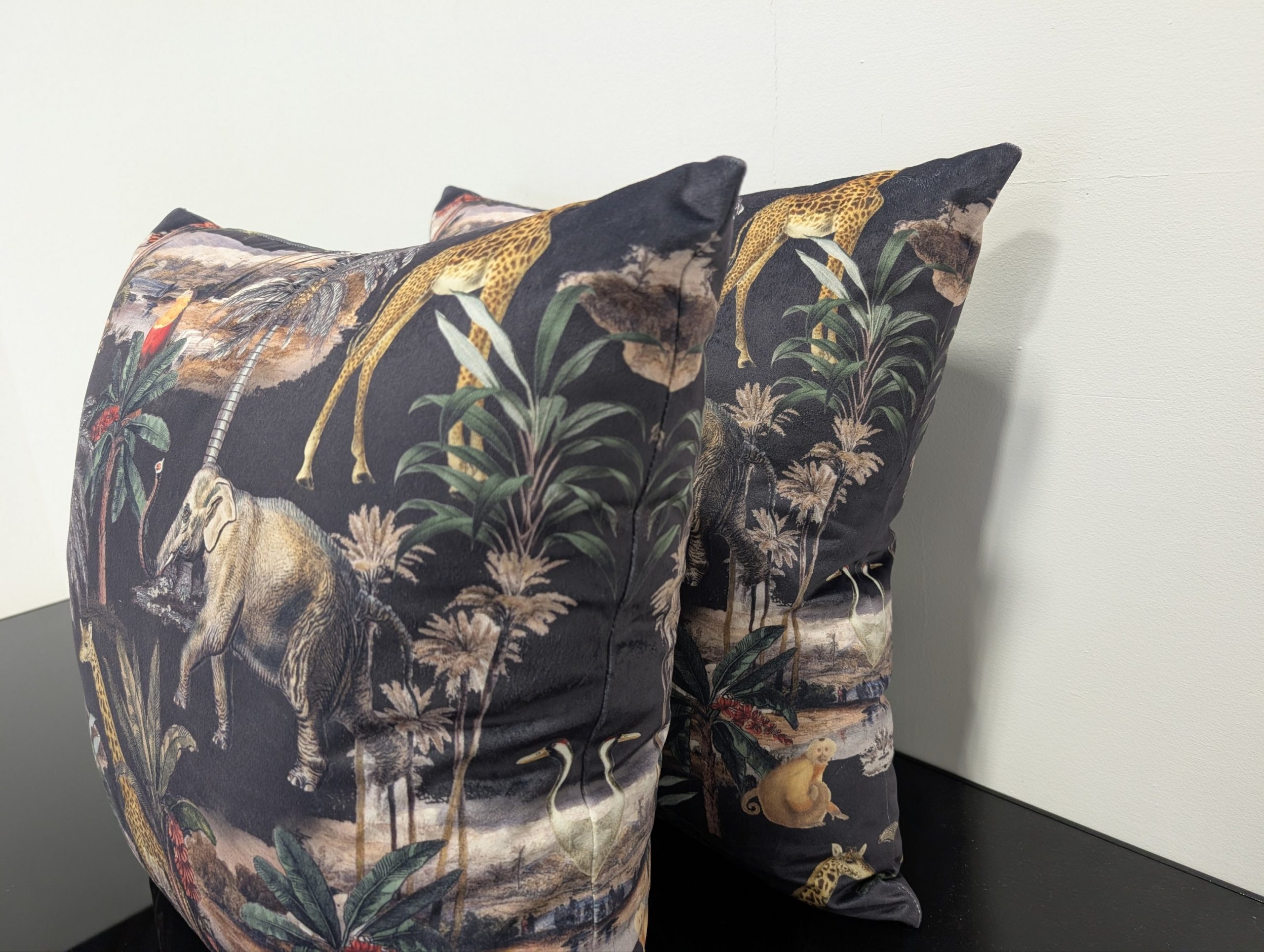 Isabella Peters Cushions pair