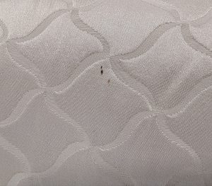 x3 Ogee Pattern Silk Cushions